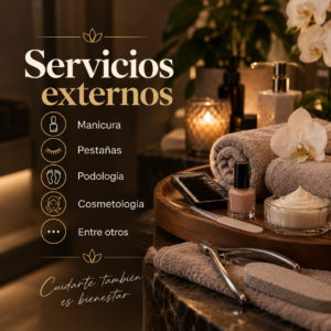 Servicios Externos